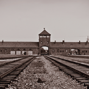 מבוא לתולדות השואה